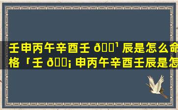 壬申丙午辛酉壬 🌹 辰是怎么命格「壬 🐡 申丙午辛酉壬辰是怎么命格的」